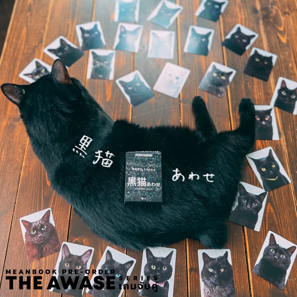 เกมจับคู่แมวดำ / เกมจับคู่ปอม / เกมจับคู่พุดเดิ้ล The Awase Series Board Game รูปที่ 2