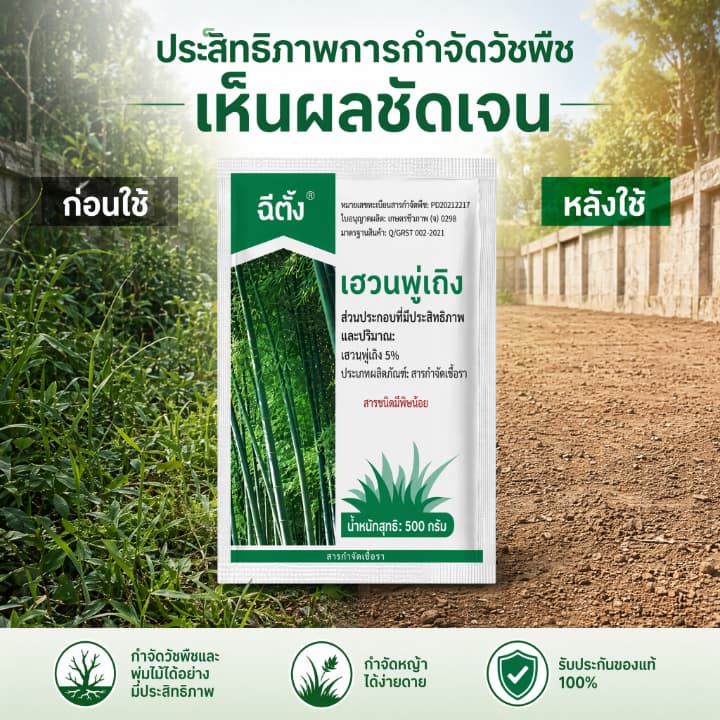 รากเน่ารากไม่ขึ้นอีก ยากำจัดต้นไม้สารกำจัดกอไผ่ผงกำจัดต้นไผ่ยาฆ่าตอไม้ ผลติดทนนาน สารกำจัดก่อไผ่ สารฆ่ากอไผ่ /500g รูปที่ 4