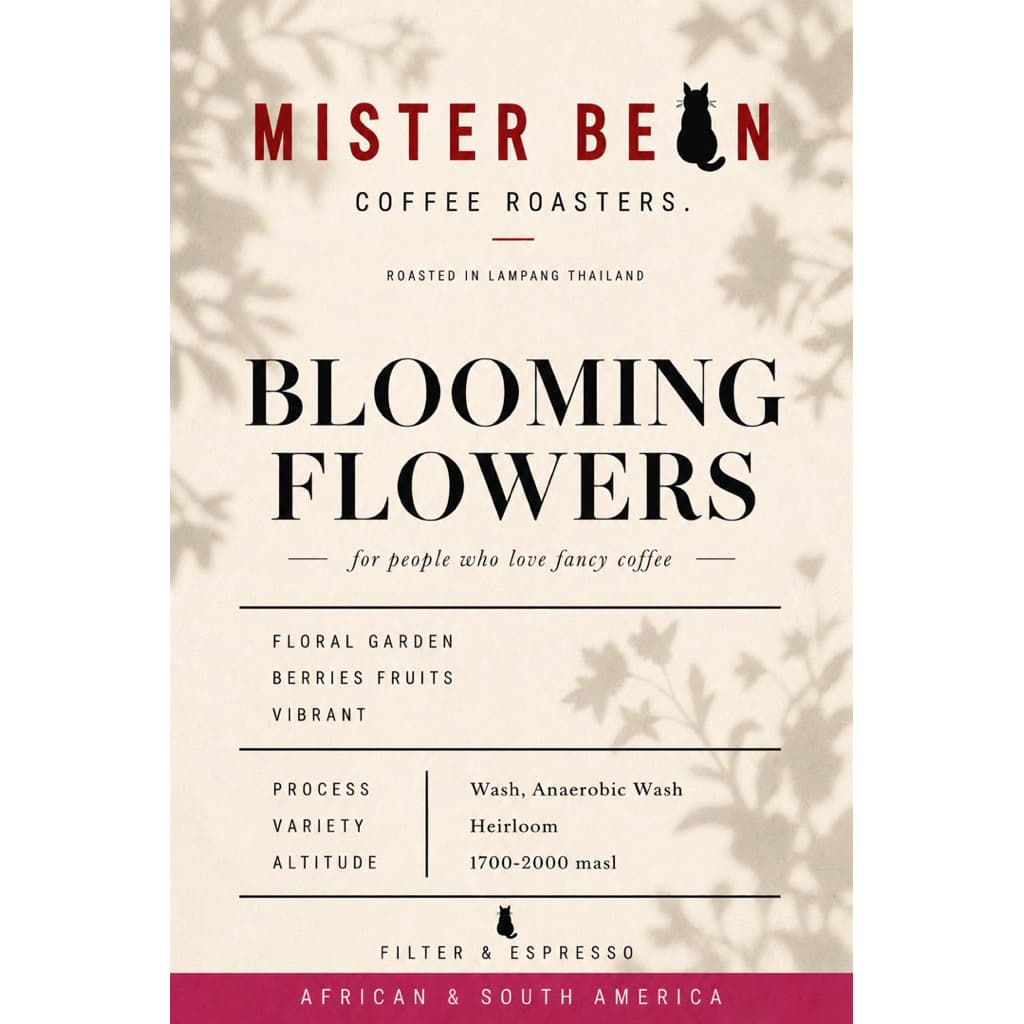 mister bean roasters เมล็ดกาแฟคั่วอ่อนโทนดอกไม้ เบอรี่ ดอกไม้ชัด ไม่เลี่ยน ลื่นคอ Blooming Flower Blend Light Roast รูปที่ 2