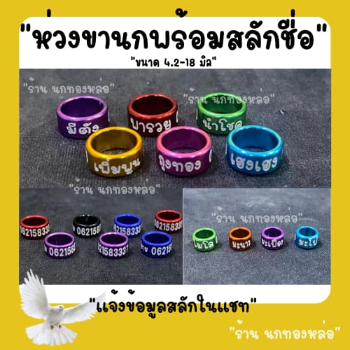 งานสวยๆ ห่วงขานก พร้อมจัดส่งด่วน สลักชื่อ เบอร์โทร ข้อความ แชทสอบถามได้คะ 4.2-18 มิล รูปที่ 1