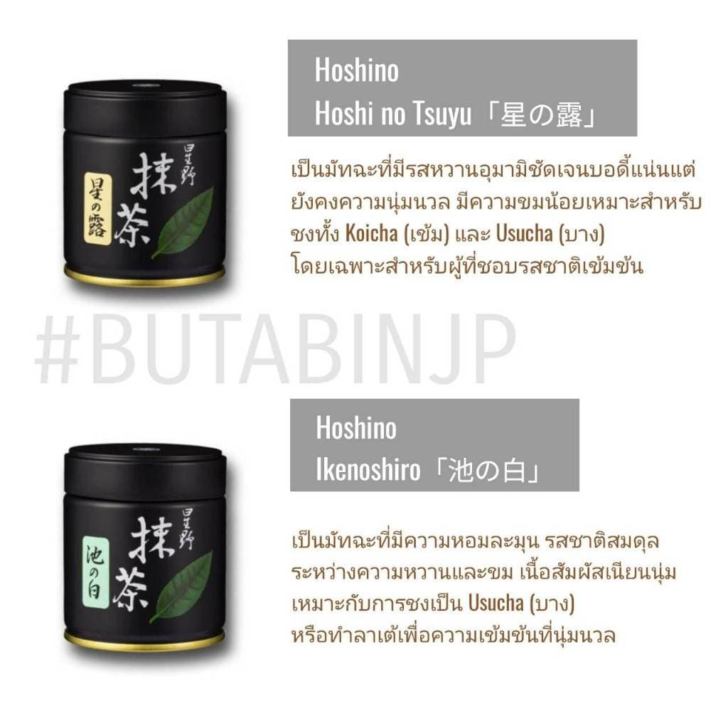 Hoshino มัทฉะ Yame เกรดพิธีการ โทนถั่วตะโกนนน จากญี่ปุ่น 100% สดใหม่ไม่มีค้างสต๊อก รูปที่ 5