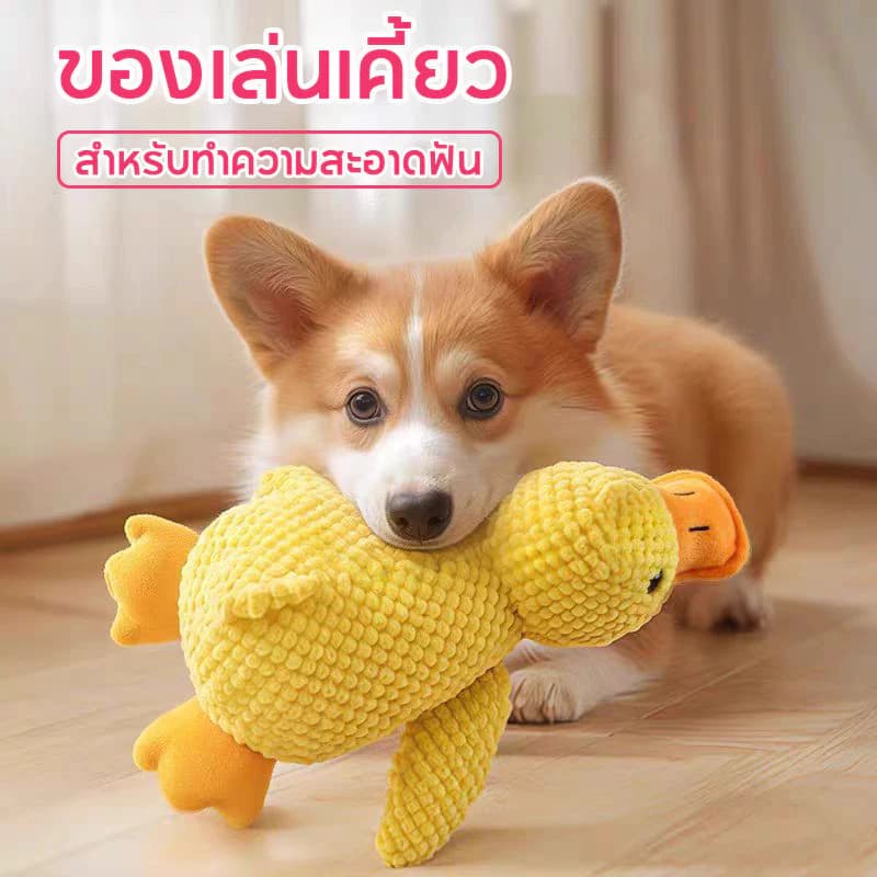 ของเล่นสุนัข ของเล่นแมว ตุ๊กตาเป็ดที่มีเสียงในตัว ของเล่นแบบโต้ตอบ CW71 รูปที่ 3
