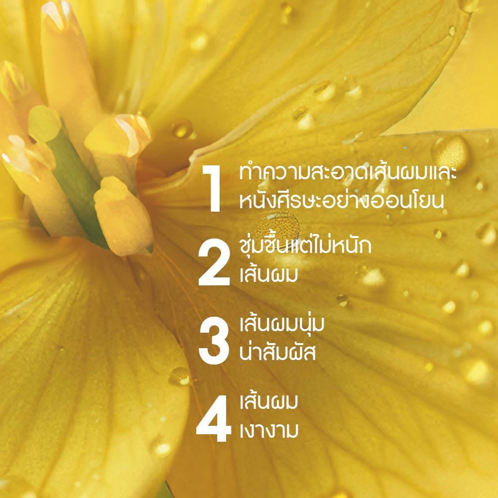 อีฟ โรเช Yves Rocher Nutrition Nourishing Shampoo 300 ml แชมพูสำหรับผมแห้ง - ผมแห้งเสีย บำรุงเส้นผม รูปที่ 5