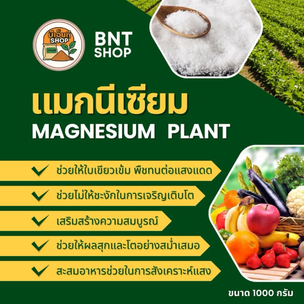 แมกซีเซียม ซัลเฟต อาหารเสริมพืช รูปที่ 2