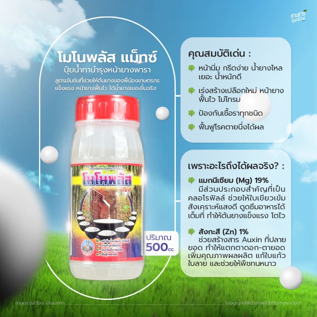 โมโนพลัส แม็ทซ์ น้ำยางออกดีต่อเนื่อง สำหรับยางอายุ 20 ปี (มีให้เลือก 2 ขนาดปริมาณ 500cc. / 1000 cc.) รูปที่ 2