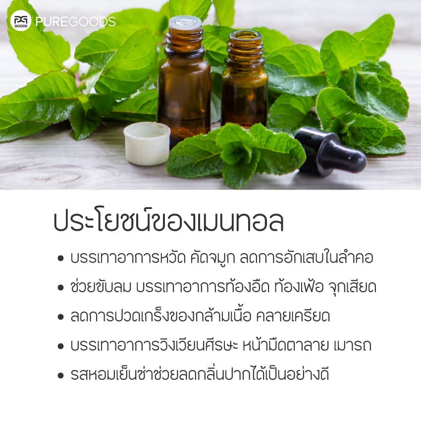 เมนทอล MENTHOL CRYSTAL Net weight 100G | 500G รูปที่ 3