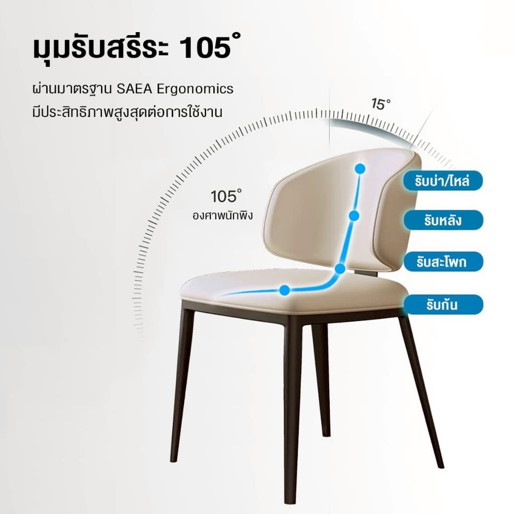 DUDEE เก้าอี้ รุ่น DD-244 เก้าอี้ขาเหล็ก แข็งแรง ทนทาน รูปที่ 4