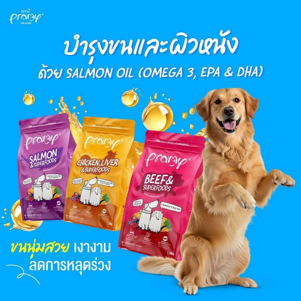 Pramy อาหารเม็ดพรามี่ สำหรับสุนัข สูตรเน้นเนื้อแท้ โปรตีนสูง เสริมสร้างสุขภาพแบบรอบด้าน ขนาด 8-10kg / Pramy Dog รูปที่ 4