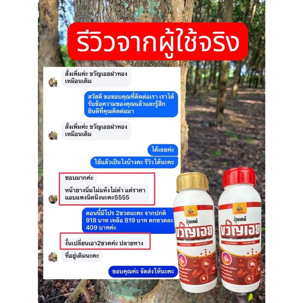 ยาทาหน้ายาง ปุ๋ยทาหน้ายางพรีเมี่ยม ธาตุอาหารเสริม เพิ่มน้ำยางและรักษายางตายนึ่ง รูปที่ 8