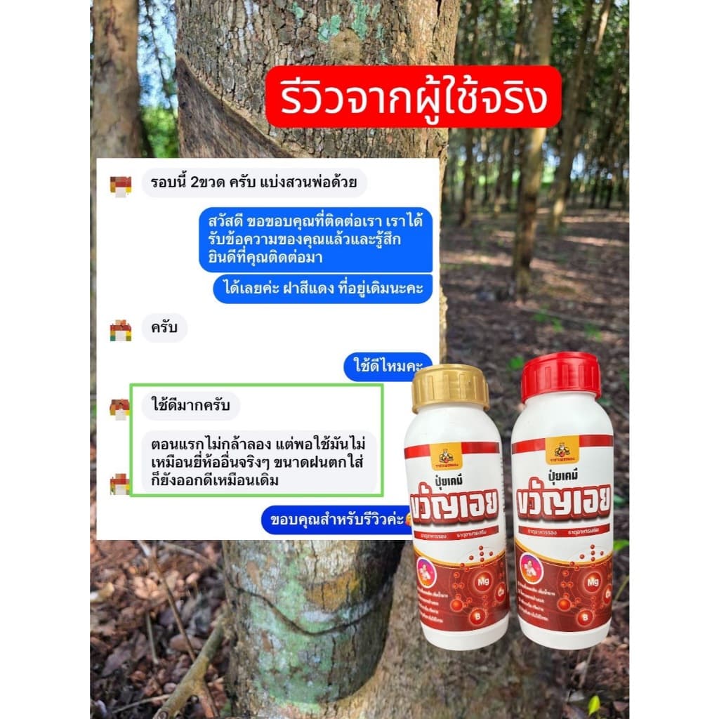 ยาทาหน้ายาง ปุ๋ยทาหน้ายางพรีเมี่ยม ธาตุอาหารเสริม เพิ่มน้ำยางและรักษายางตายนึ่ง รูปที่ 9