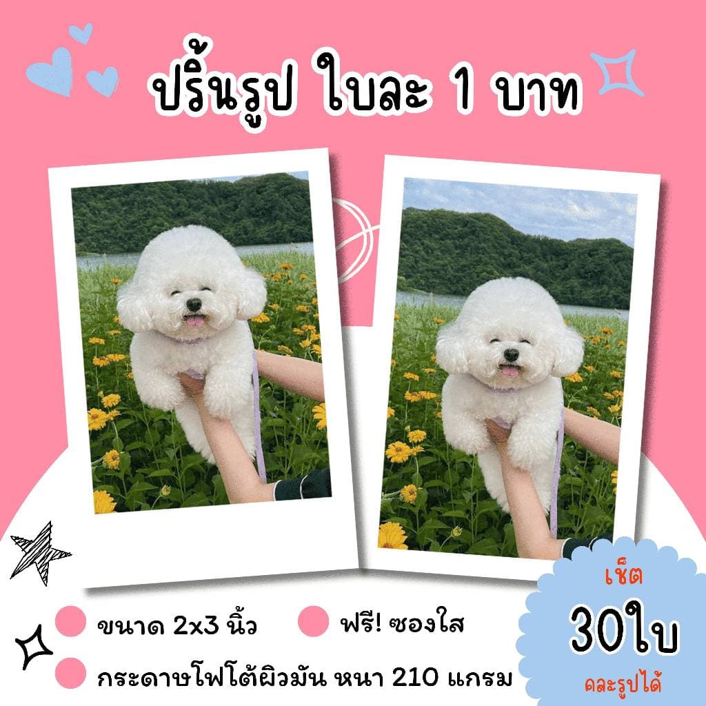 •.★*ปริ้นรูป ขนาด 2x3 นิ้ว ใส่ซองใสฟรี จำนวน 30 ใบ คละรูปได้ *★.•