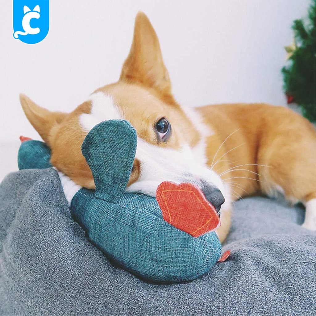 CleverPet ของเล่นสุนัข Sophie The Duck บีบมีเสียง ตุ๊กตาเป็ด หมา Dog Toy รูปที่ 6
