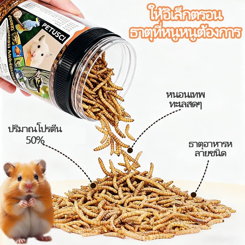 PETLUSCI® หนอนนกอบแห้ง 1300ML หนอนอาหาร หนอนอบแห้ง อาหารหนูแฮมเตอร์ hamster โปรตีนสูง อาหารนก เต่า รูปที่ 4