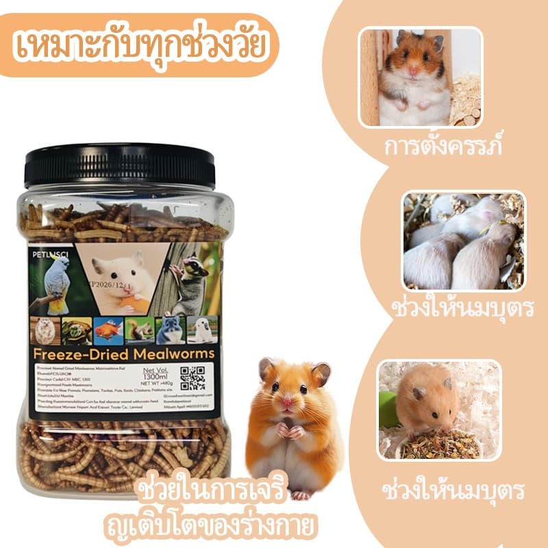 PETLUSCI® หนอนนกอบแห้ง 1300ML หนอนอาหาร หนอนอบแห้ง อาหารหนูแฮมเตอร์ hamster โปรตีนสูง อาหารนก เต่า รูปที่ 8