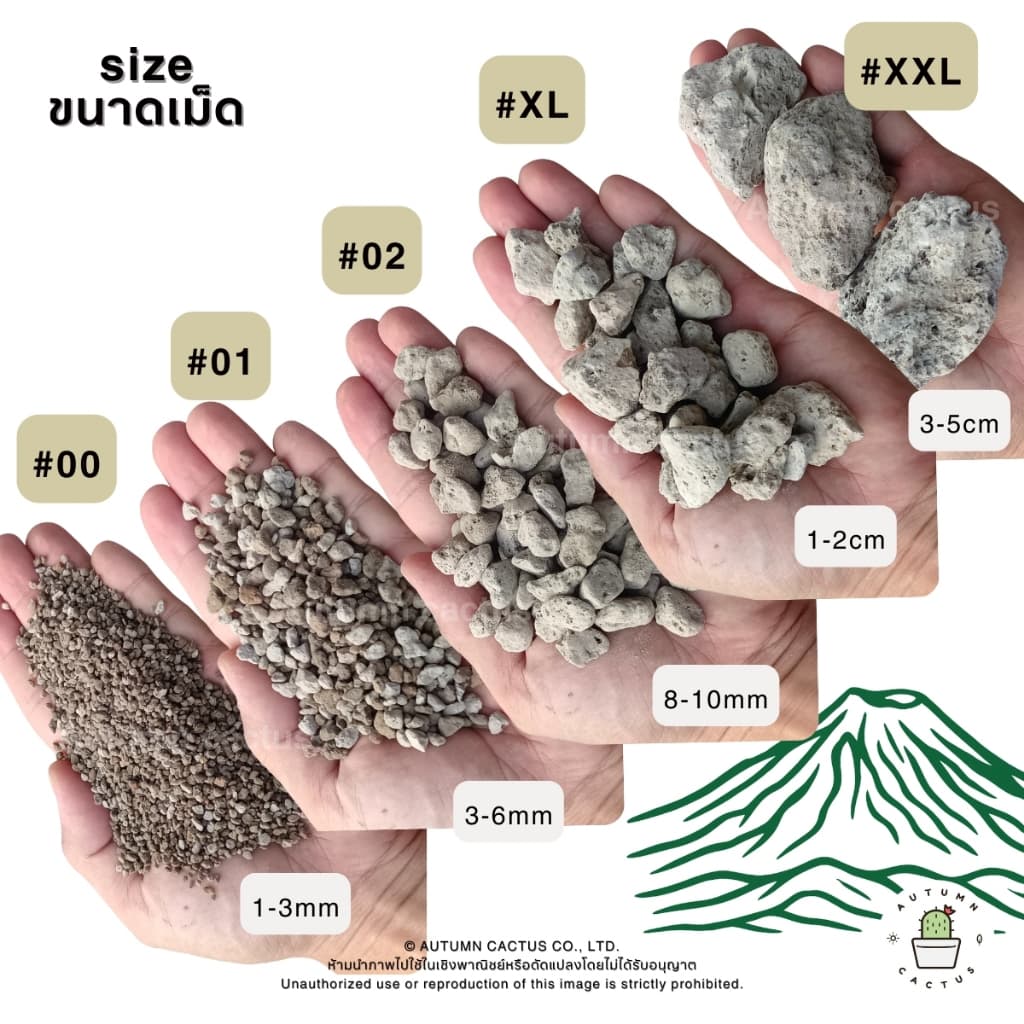 หินภูเขาไฟ Pumice Stone รองก้นกระถาง ผสมดินปลูก หินทำถุงหอม ถุงใหญ่ ขนาด 4ลิตร เบอร์00 เบอร์01 เบอร์02 XL - XXL รูปที่ 2