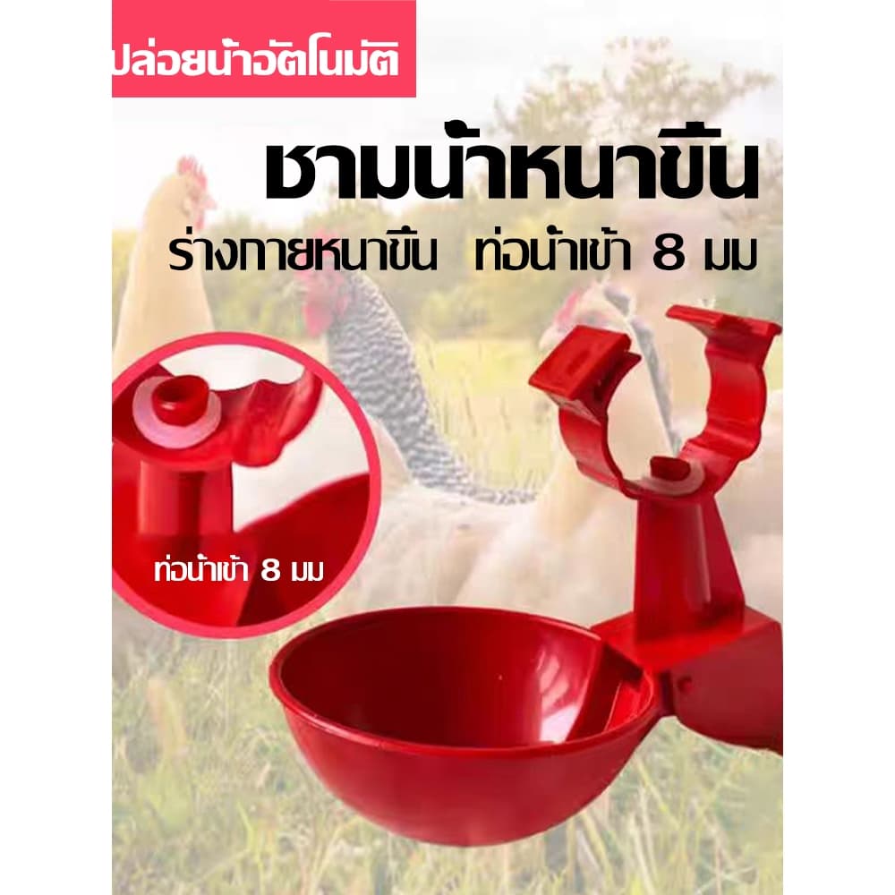 ส่งตรงจากกรุงเทพฯ Hardware Tools MALL ถ้วยให้น้ำไก่อัตโนมัติ 8มม. ใช้กับไก่ เป็ด ห่าน ประหยัดน้ำ ติดตั้งง่าย ล้างง่ายมาก รูปที่ 6