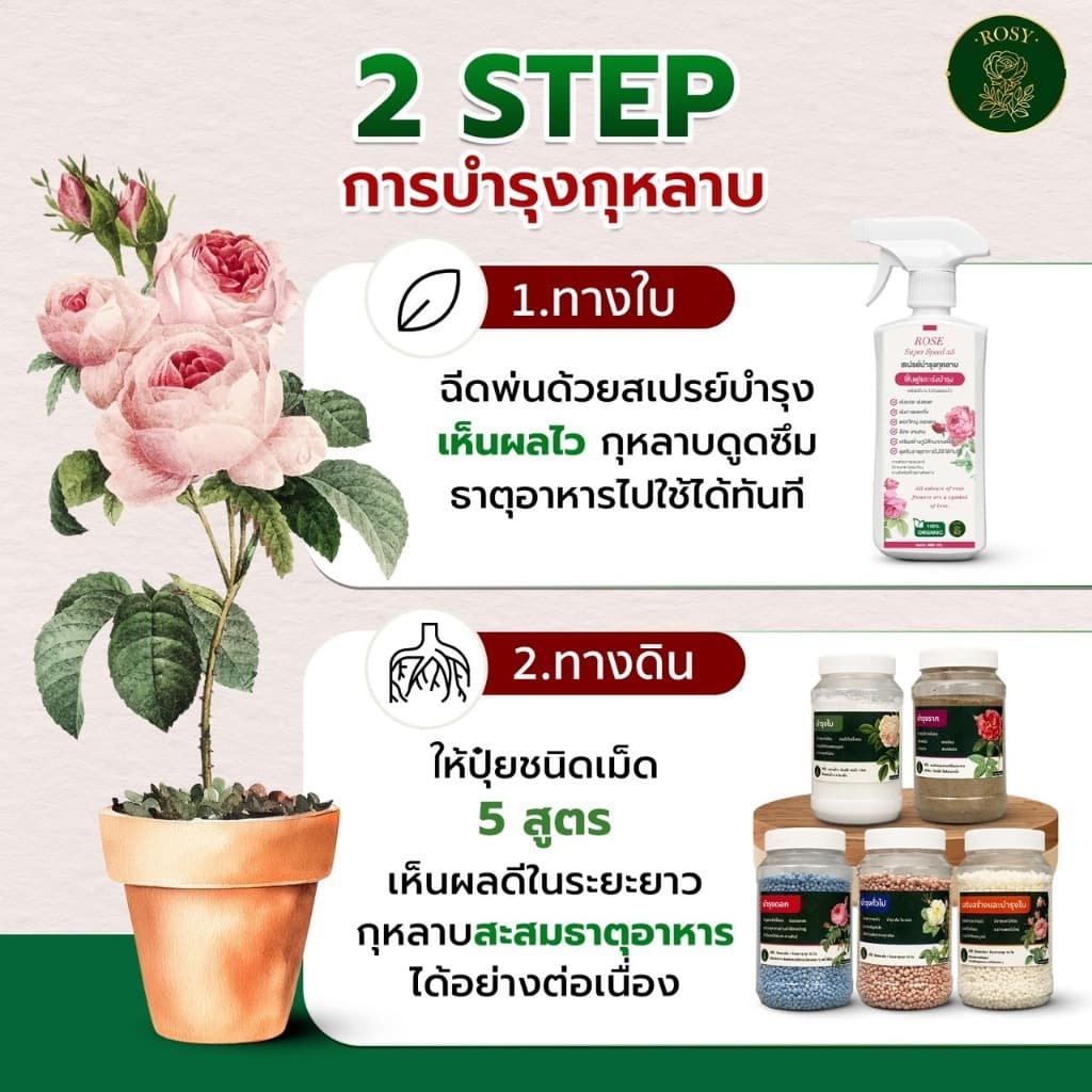 Rosy ปุ๋ยกุหลาบ บำรุงกุหลาบครบทุกส่วนของต้น ต้นกุหลาบจะได้รับสารอาหารครบถ้วน รูปที่ 3