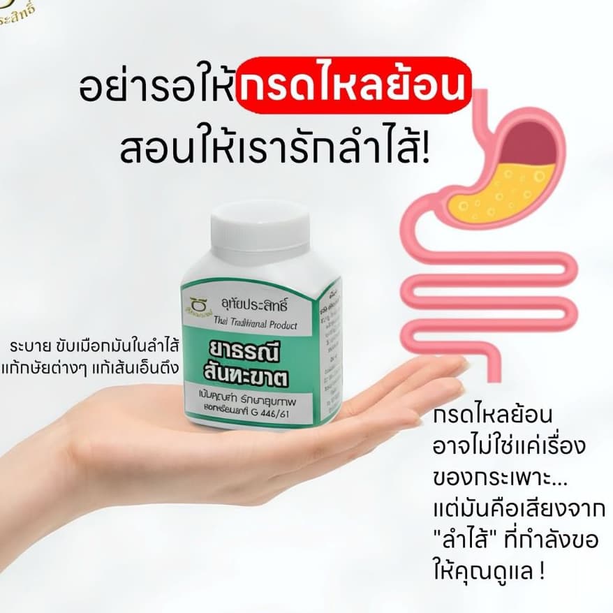อุทัยประสิทธิ์ ยาธรณีสันฑะฆาต 20แคปซูล รูปที่ 4
