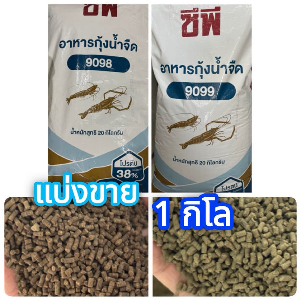 อาหารกุ้ง CP อาหารกุ้งน้ำจืด อาหารกุ้งเครฟิช อาหารกุ้งก้ามกราม กุ้งสวยงาม รูปที่ 1