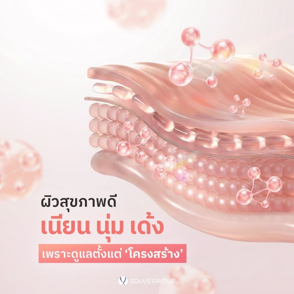 Daily Collagen Dipeptide Plus Ceramide 1 กล่อง คอลลาเจนผิว รูปที่ 2