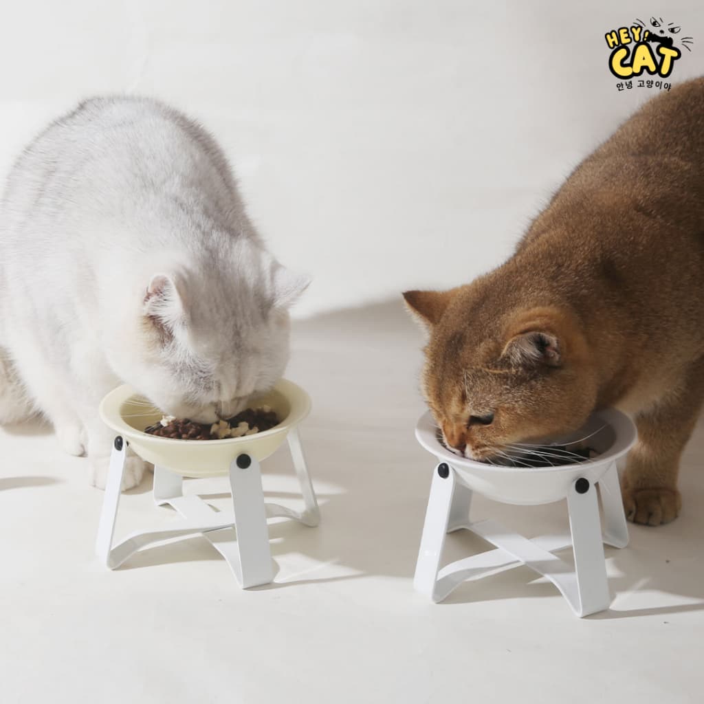 A Cute pet ชามแมวพร้อมขา ชามแมวเซรามิค ชามอาหารแมว แบรนด์เกาหลี ทำจากเซรามิคคุณภาพสูง ขนาดชาม 14 Cm. รูปที่ 5