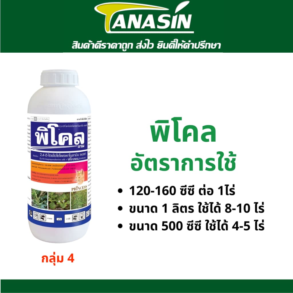 พิโคล 2,4-ดี + พิโคลแรม กำจัดหญ้าในข้าว อ้อย ข้าวโพด กำจัดหญ้าใบกว้าง เถาเครือ ในนาข้าว ไร่อ้อย by Tanasin รูปที่ 4