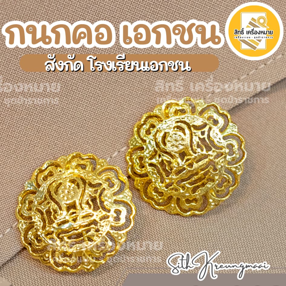 กนกคอเอกชน ครูเอกชน สังกัดโรงเรียนเอกชน /เข็มติดปกคอเสื้อ งานแกะมืออย่างดี รูปที่ 1