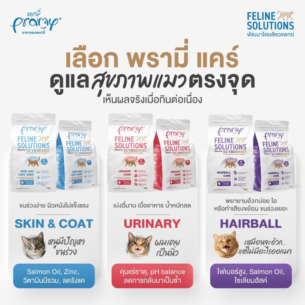 Pramy Feline Solutions อาหารแมวสูตรเฉพาะทาง พัฒนาโดยสัตวแพทย์ ตอบโจทย์น้องแมวที่มีปัญหาสุขภาพ รูปที่ 2