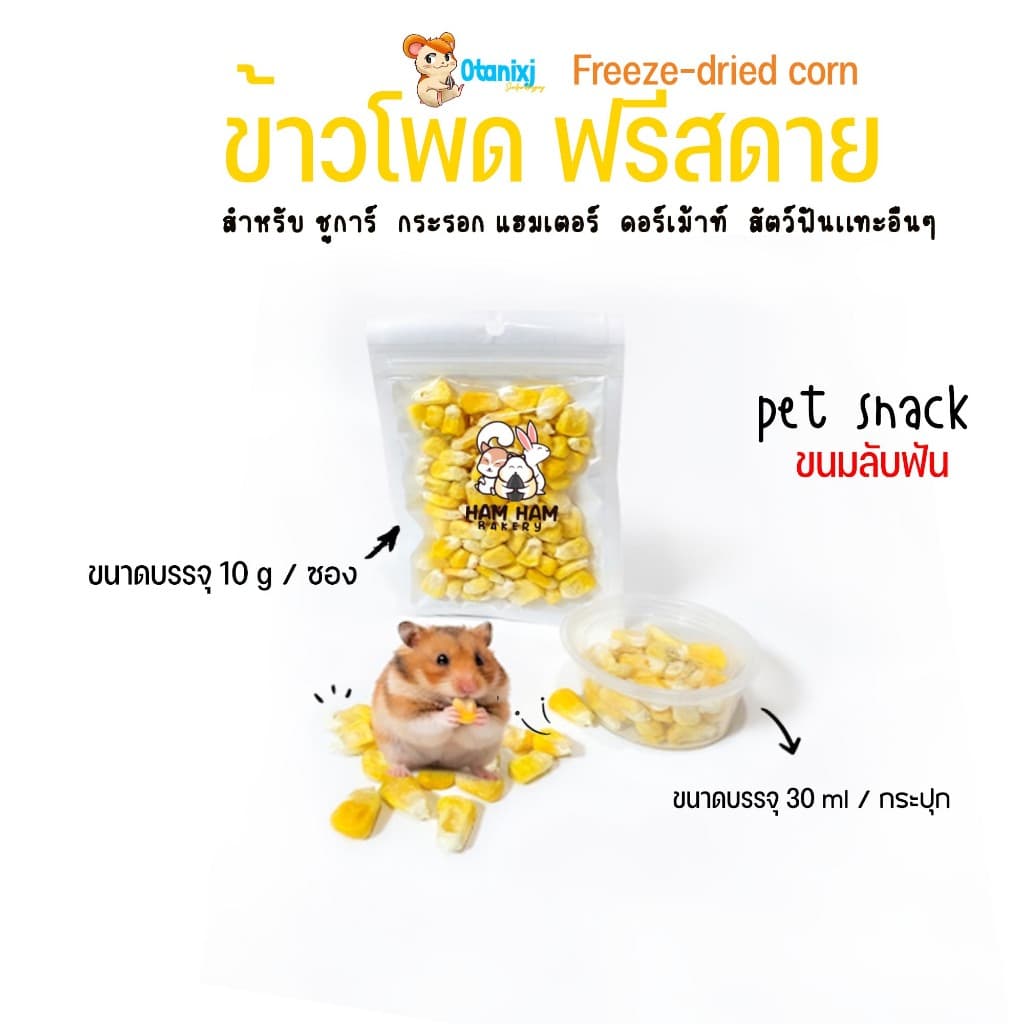 ขนมหนูเเฮมเตอร์ ชูการ์ เม่นเเคระ กระรอก กระต่าย มีขนมที่เด็กๆชอบให้เลือกมากกว่า 50 อย่าง รูปที่ 3