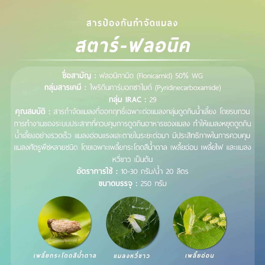 สตาร์-ฟลอนิค 250 กรัม รูปที่ 2