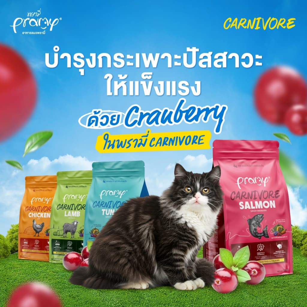 Pramy Carnivore อาหารเม็ดแมว ยกกระสอบ 7Kg รูปที่ 4