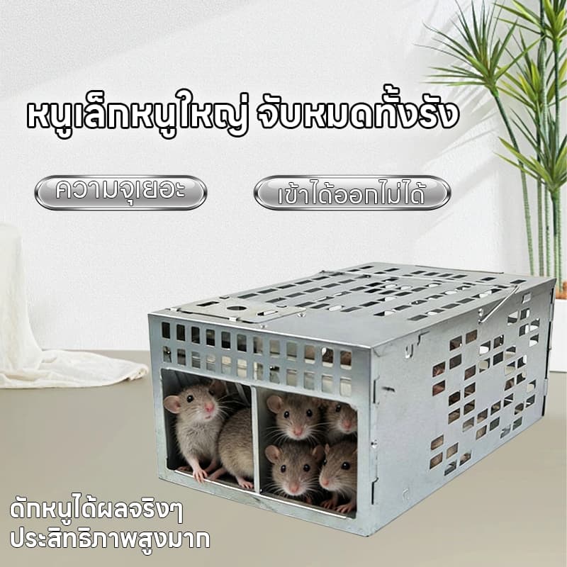 กับดักหนูสองประตู กับดักหนู กรงดักหนู ใหม่ อุปกรณ์ดักจับหนูที่มีประสิทธิภาพ กับดักและกำจัดหนูทรงพลัง แบบจับต่อเนื่องได้ รูปที่ 7