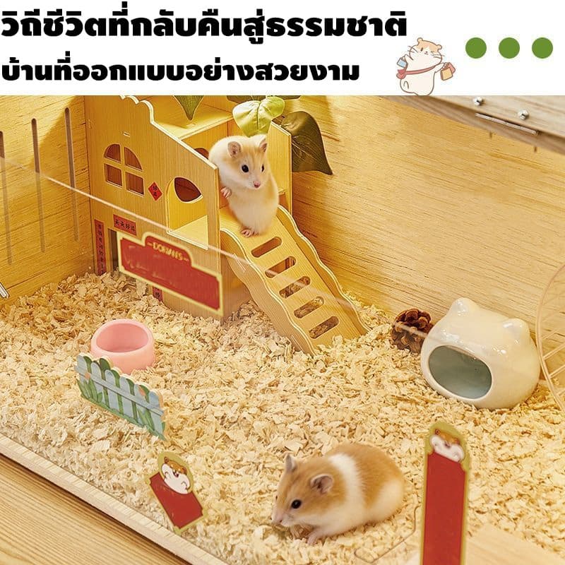 40/60/80cm กรงหนูแฮมสเตอร์ไม้ กรงหมีทอง กรงหนูแฮมสเตอร์ ฮามสเตอร์ กรงสัตว์เลี้ยง โปร่งใส ไม้ ระบายอากาศและระบายอากาศ รูปที่ 4