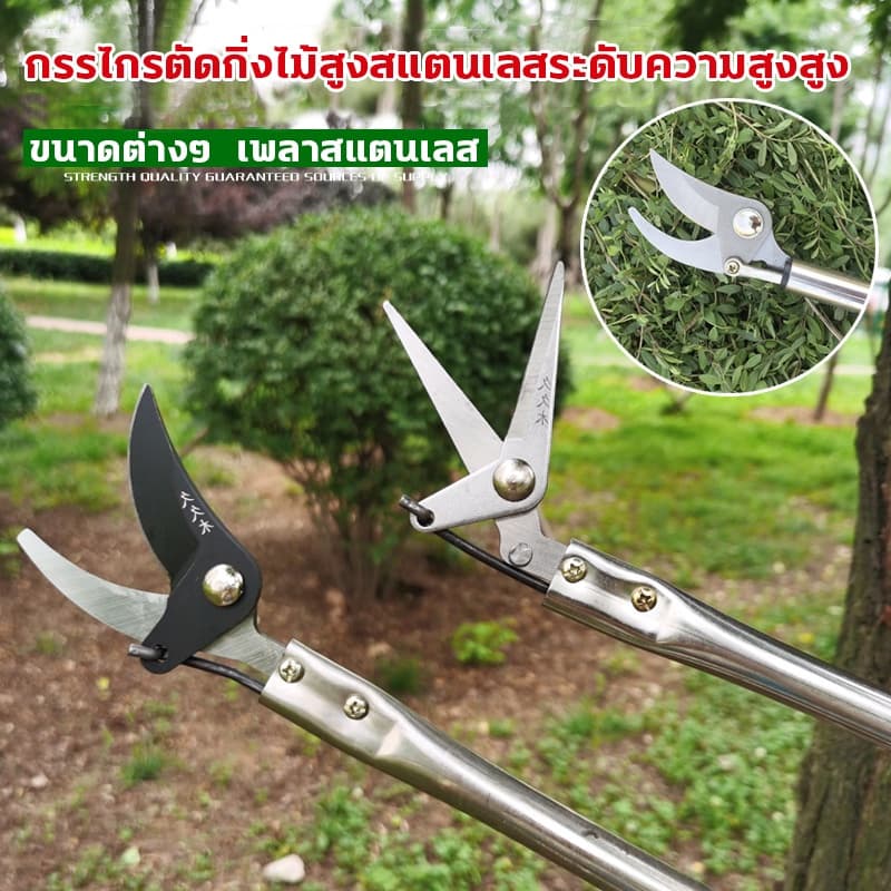 กรรไกรตัดกิ่งไม้สูง กรรไกรตัดกิ่ง ตัดกิ่งไม้เร็ว ด้ามจับยาว กรรไกรเก็บผลไม้ กรรไกรเก็บผลไม้ ตัดกิ่งไม้หนา 3 ซม รูปที่ 2
