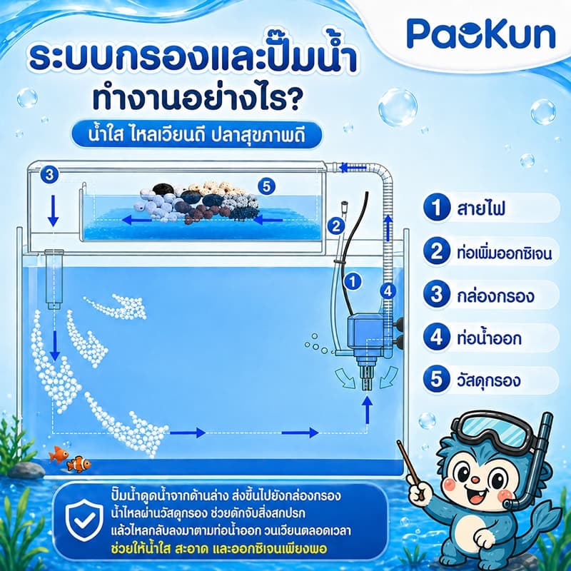 ปั๊มน้ำตู้ปลาประหยัดไฟ PK-1200/1600/2500/3500/4500 ปั้มแช่ สำหรับทำน้ำหมุนเวียนทำระบบกรองน้ำขนาดเล็ก รูปที่ 6