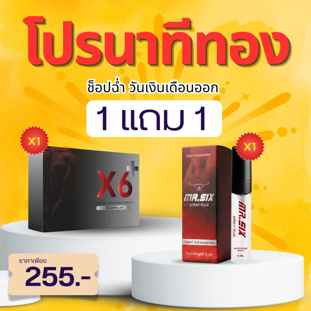 โปรนาทีทอง X6 X Mister Six Spray รูปที่ 1