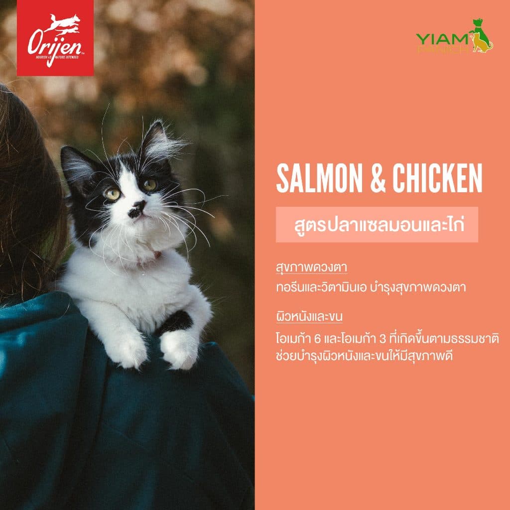 ORIJEN Chunks&Shreds อาหารเปียกแมวแบบกระป๋อง Salmon&Chicken ในน้ำซุปกระดูกเข้มข้น 85g รูปที่ 4