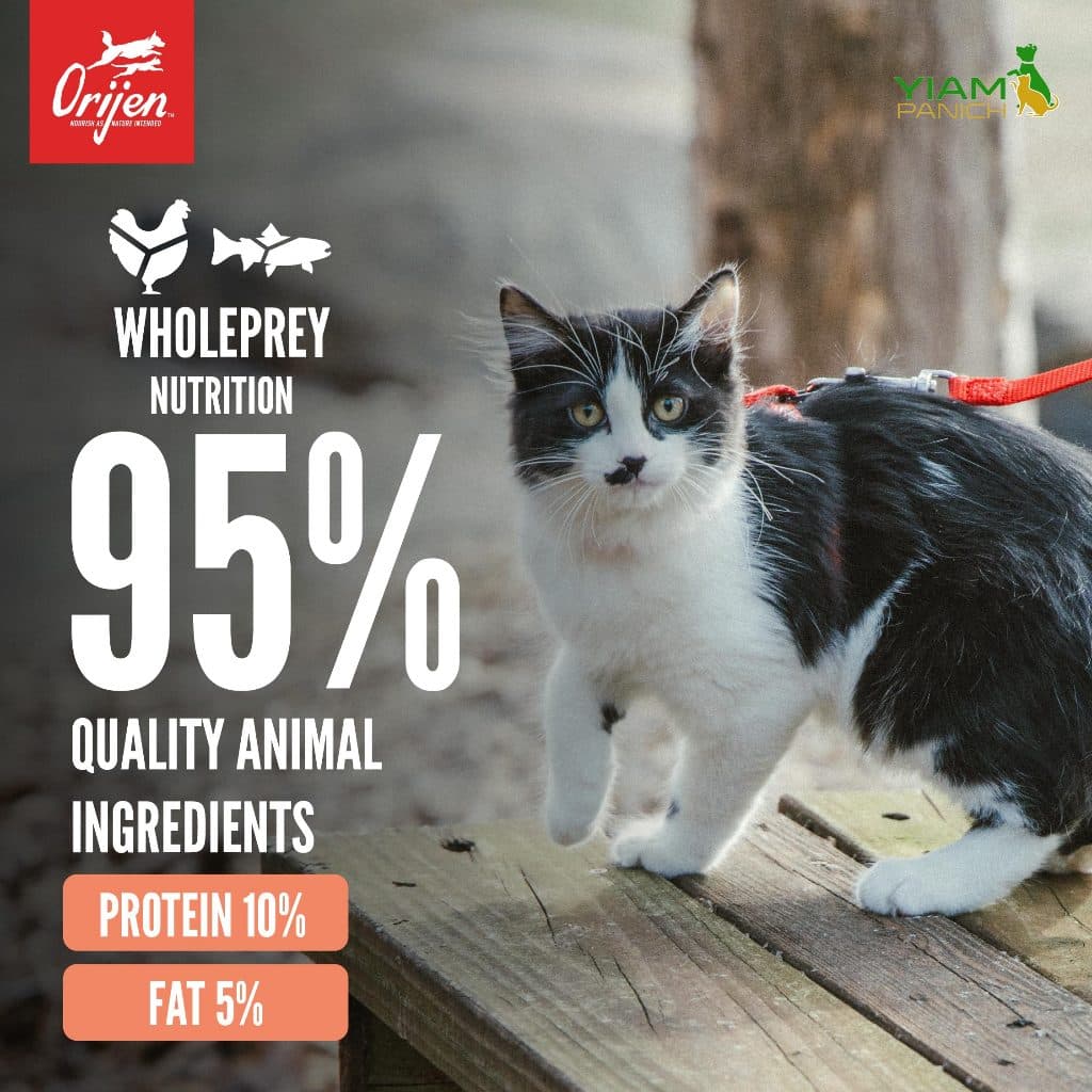 ORIJEN Chunks&Shreds อาหารเปียกแมวแบบกระป๋อง Salmon&Chicken ในน้ำซุปกระดูกเข้มข้น 85g รูปที่ 3
