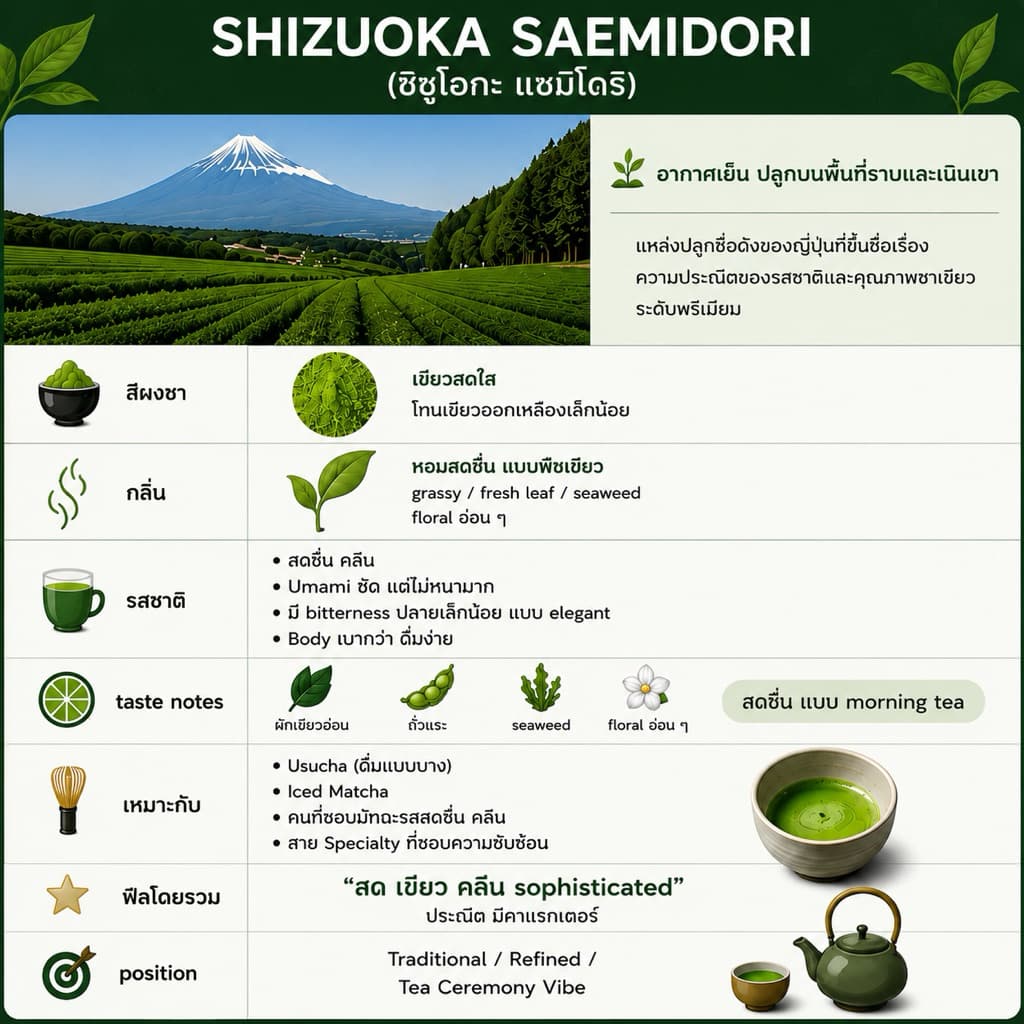 SAEMIDORI | Rincha tea มัทฉะ ชาเขียว สายพันธุ์เดี่ยว เกรดพิธีการ จาก Shizuoka Japan รูปที่ 2