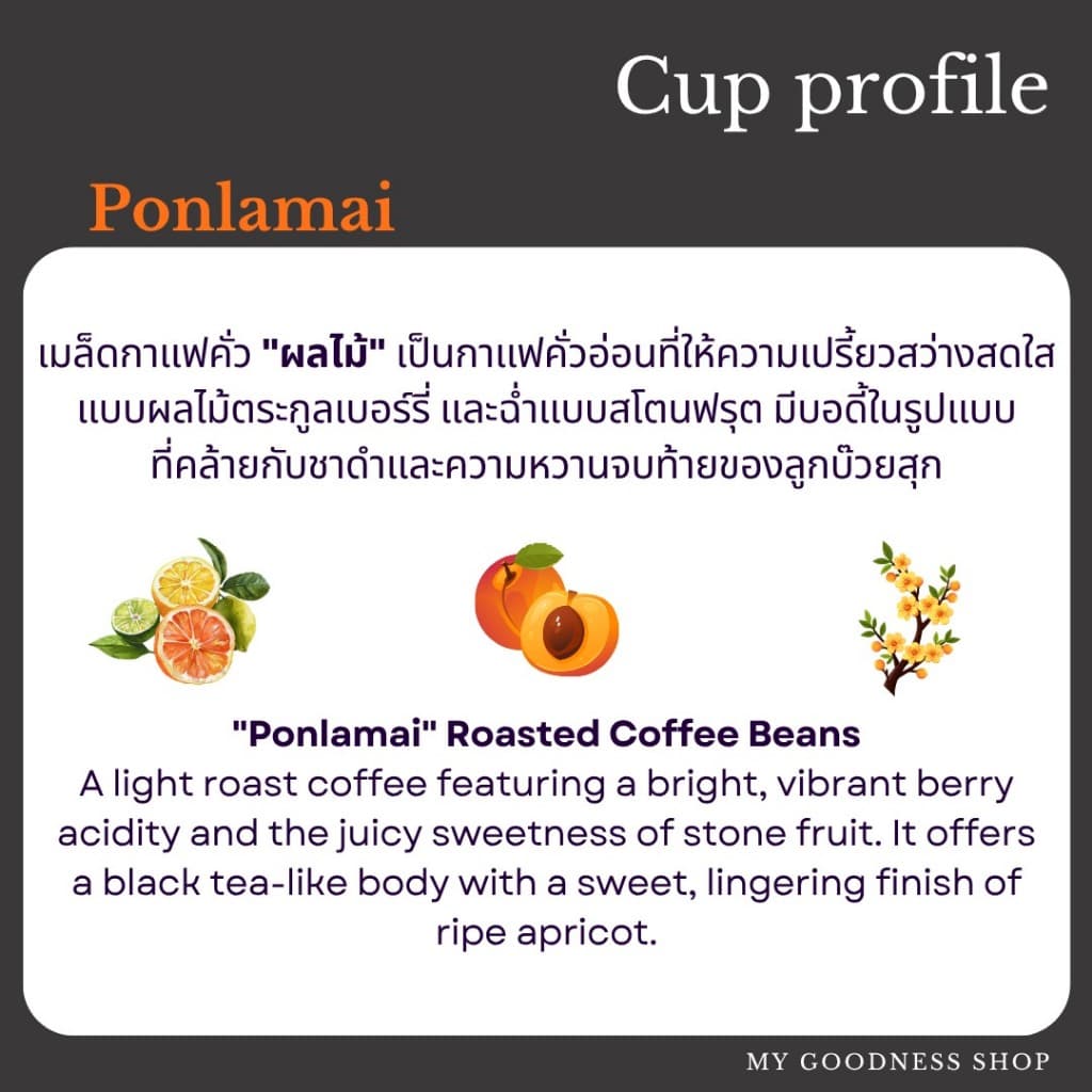 AKHA AMA COFFEE กาแฟ อาข่า อ่ามา : PONLAMAI เมล็ดกาแฟคั่ว อาข่า อาม่า รูปที่ 2