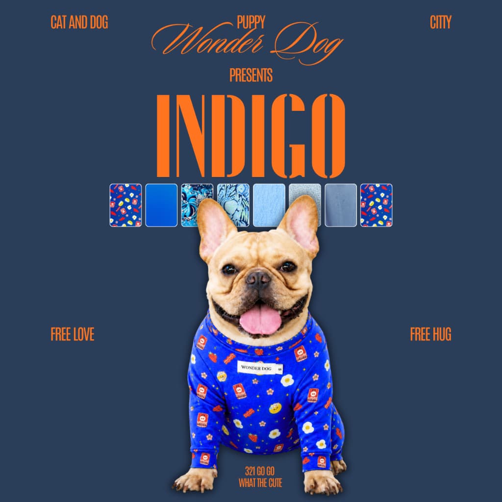 ชุดเก็บขน wonder dog เสื้อสุนัข เสื้อแมว ชุดกันขนร่วงสุนัข ชุดสัตว์เลี้ยง โทนน้ำเงิน รูปที่ 1