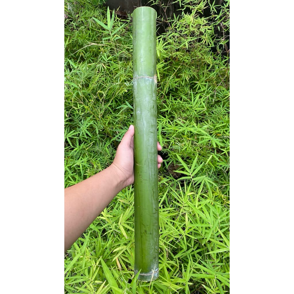 กระบอกไม้ไผ่ยิ้มแย้ม1ชิ้น สำหรับงานDIY แจกันและตกแต่ง ขนาด55-70cm หอมกลิ่นไผ่อ่อนๆตัดสดใหม่จากกอ รูปที่ 5