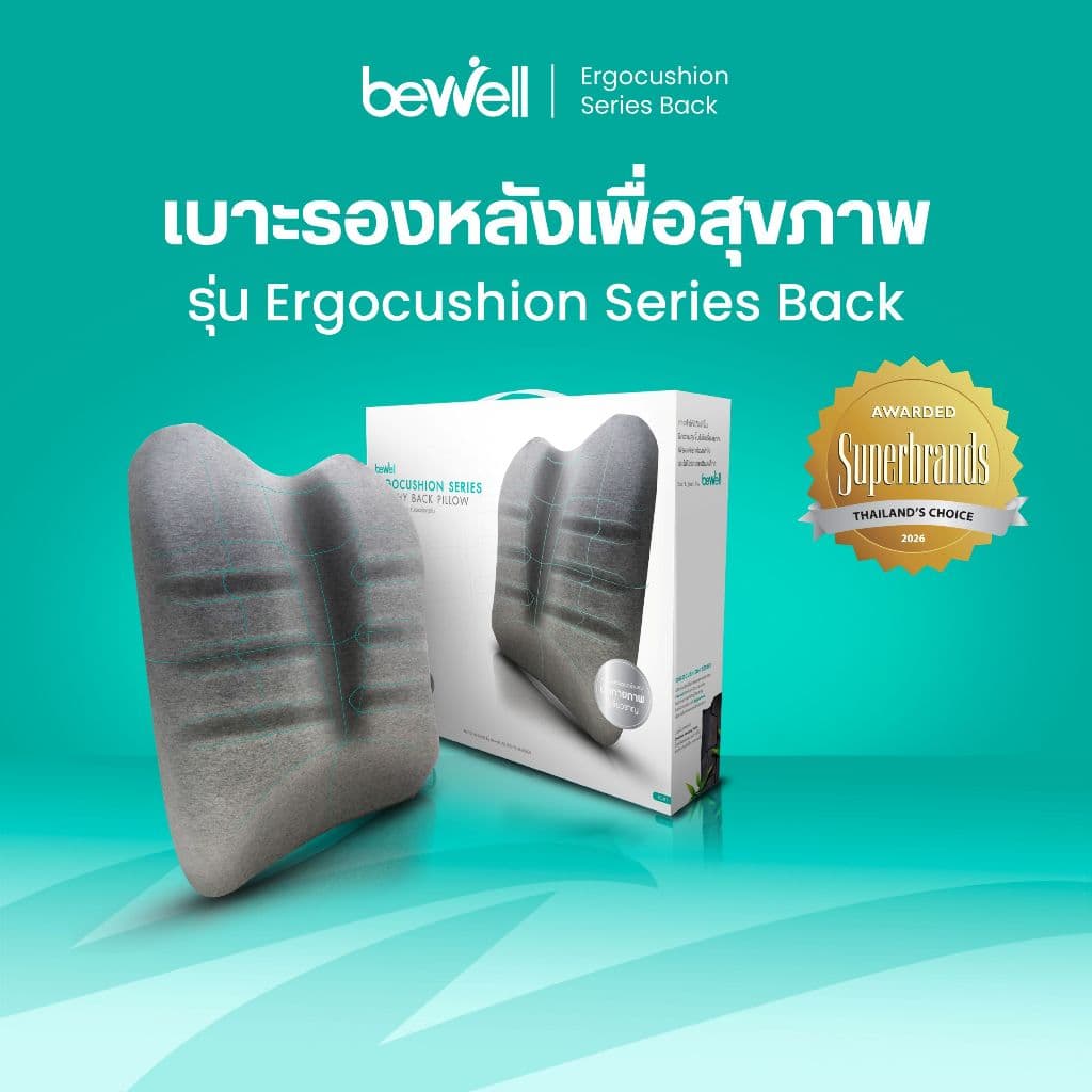 Bewell Ergocushion Series เบาะรองหลัง รองรับหลังได้ดีกว่าเดิม พัฒนาร่วมกับนักกายภาพ รูปที่ 1