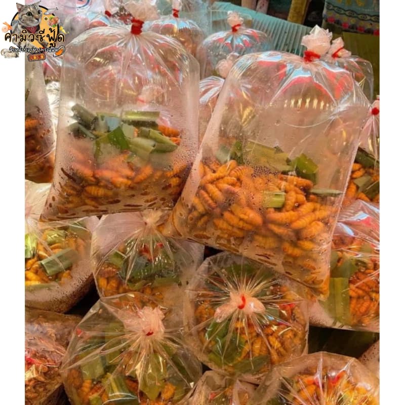 หนอนไหม สดสะอาด อร่อย แพ็คล่ะ500กรัม รูปที่ 6