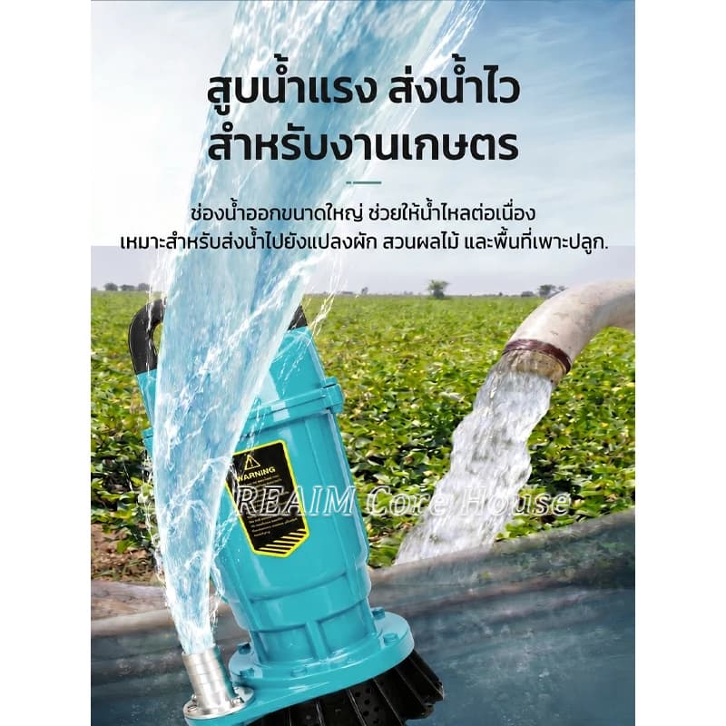 REAIM ปั๊มแช่ดูดโคลน 1/2 นิ้ว ปั๊มน้ำ 1500W มน้ำไดโว่ไฟฟ้า มอเตอร์ทองแดง สำหรับน้ำท่วม บ่อปลา ไร่นา รูปที่ 3