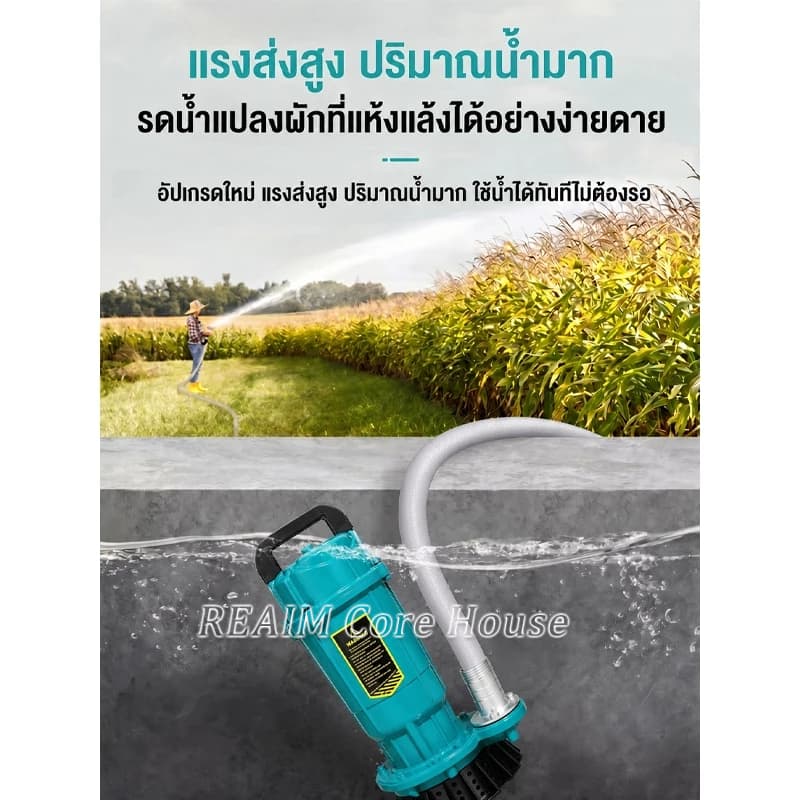 REAIM ปั๊มแช่ดูดโคลน 1/2 นิ้ว ปั๊มน้ำ 1500W มน้ำไดโว่ไฟฟ้า มอเตอร์ทองแดง สำหรับน้ำท่วม บ่อปลา ไร่นา รูปที่ 6