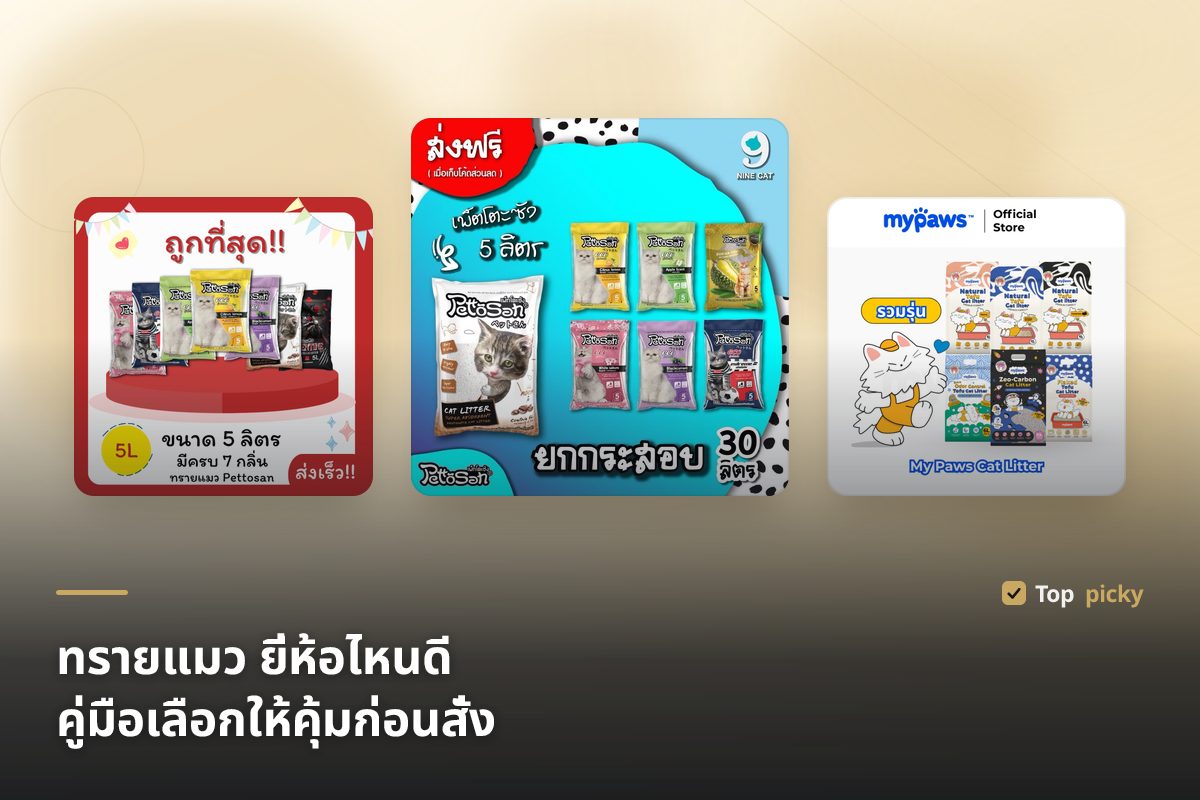 ทรายแมว ยี่ห้อไหนดี 2569 (2026) คู่มือเลือกให้คุ้มก่อนสั่ง