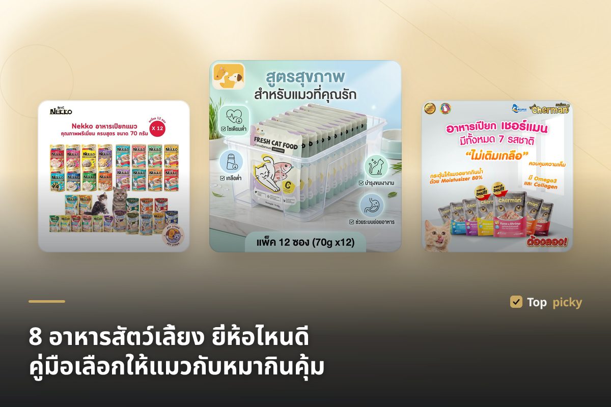 8 อาหารสัตว์เลี้ยง ยี่ห้อไหนดี 2569 (2026) คู่มือเลือกให้แมวกับหมากินคุ้ม