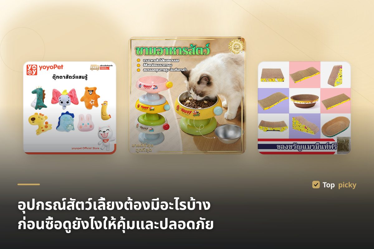 อุปกรณ์สัตว์เลี้ยงต้องมีอะไรบ้าง ก่อนซื้อดูยังไงให้คุ้มและปลอดภัย